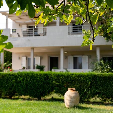 Tesys Studios And Apartments Laganas Ngoại thất bức ảnh